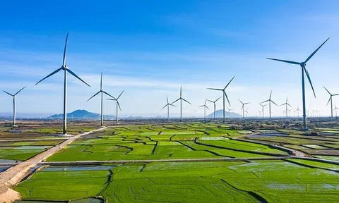 Bộ Công Thương: Khung giá phát điện cho các dự án năng lượng tái tạo được tính đúng, tính đủ