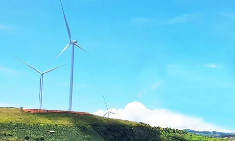 Buộc Điện gió Cầu Đất nộp gần 1,4 tỷ đồng tiền phạt, thu lợi bất hợp pháp