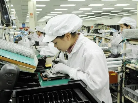Nếu rút bảo hiểm xã hội một lần, lao động nữ thiệt hàng trăm triệu đồng